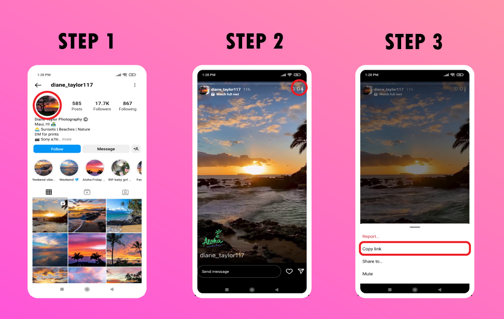 Instagram Story Downloader-Story Saver for Instagram